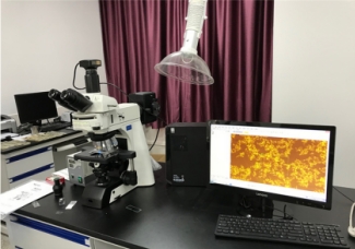 医疗与生命科学行业机器视觉光源控制解决方案
